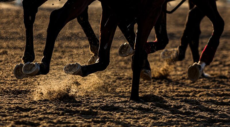 Jockeys ride their horses during preparations for the Dubai World Cup 2023.