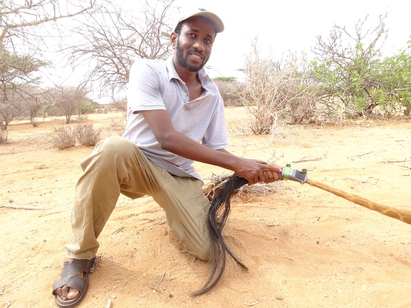 Dr Ali with a giraffe tagged on its tail