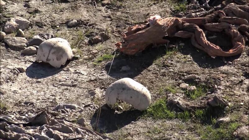 A screengrab of a video showing skulls at the site of a purported mass grave in the city of Sinjar, in northern Iraq after it was retaken from ISIL militants. AP Photo via AP video