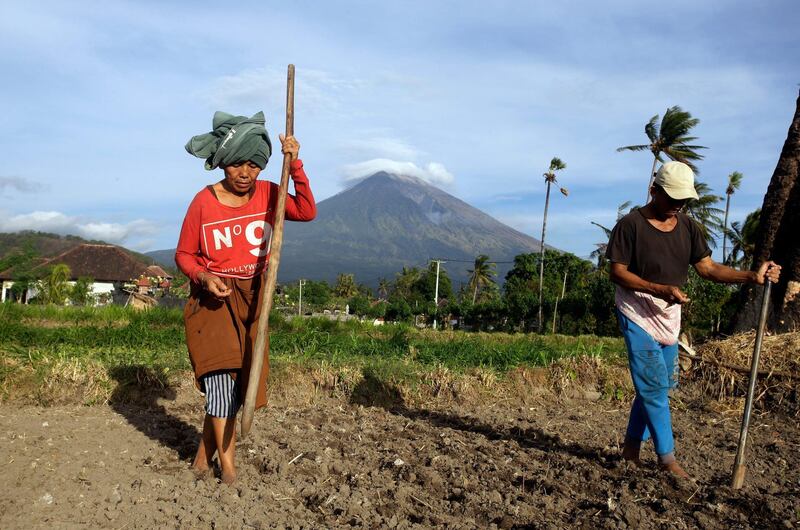 Farmers work on their land with Mount Agung seen in the background in Karangasem, Bali, Indonesia. Firdia Lisnawati / AP Photo