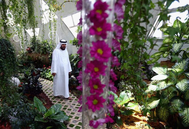 A visitor admires the butterflies at Dubai Butterfly Garden on Wednesday. Francois Nel / Getty Images