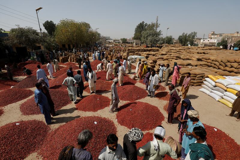 In Kunri's bustling wholesale chilli market, Mirch Mandi, the effect is also being felt. Although mounds of bright red chilli dot the market, traders said there is a huge drop on previous years.