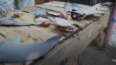 Shark fins for sale at Al Ansari also attract buyers from China. Mohammed Fathi / The National