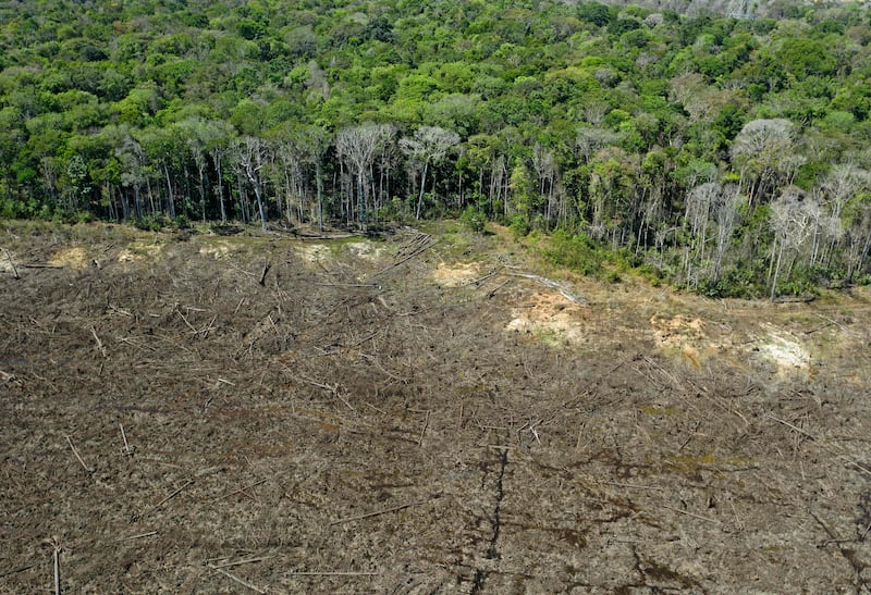 A deforested area close to Sinop, Mato Grosso State, Brazil. Deforestation in Brazil's Amazon rainforest rose by almost 22 percent from August 2020 to July 2021, compared with the same period the year before, reaching a 15-year high. AFP
