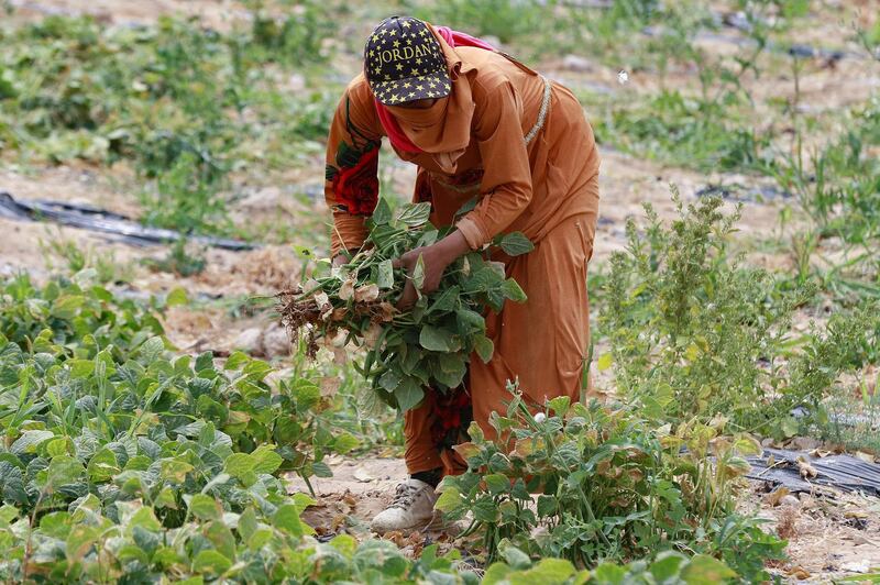 To make matters worse, prices slumped after exports dropped last year due to Covid-19-related border closures. AFP