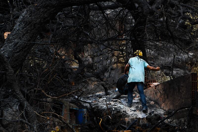 The charred remains of trees after a forest fire in Melloula, near the border with Algeria. AFP
