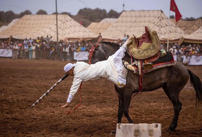 A Moroccan rider falls from his horse during his performance at the Moussem in Rabat.