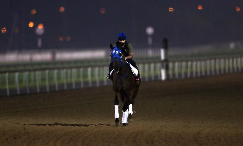 A jockey rides Lugamo from the UAE during preparations for the Dubai World Cup 2021 at Meydan. EPA