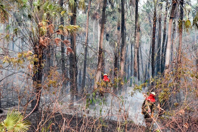 Bolivian soldiers walk at a burnt area in Otuquis National Park, in the Pantanal ecoregion of southeastern Bolivia, on August 26, 2019.  Like his far right rival President Jair Bolsonaro in neigboring Brazil, Bolivia's leftist leader Evo Morales is facing mounting fury from environmental groups over voracious wildfires in his own country. While the Amazon blazes have attracted worldwide attention, the blazes in Bolivia have raged largely unchecked over the past month, devastating more than 9,500 square kilometers (3,600 square miles) of forest and grassland. / AFP / Aizar RALDES
