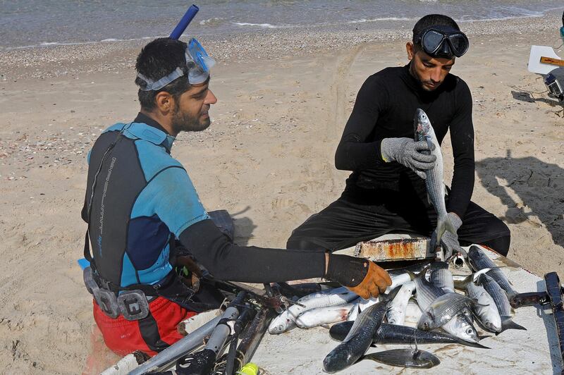 Palestinian Ashraf Al-Amoudi and his fellow spear-fisherman display fish on a beach in the southern Gaza Stripe.   Reuters
