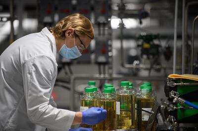 A worker labels bottles at the GreenLight Rochester facility. Photo: GreenLight Biosciences