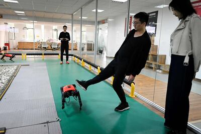 This picture taken on April 2, 2021 shows a Weilan Intelligent Technology Corporation employee using his foot to demonstrate the stability of an AlphaDog quadruped robot at the company's workshop in Nanjing, China's Jiangsu province. It's whip fast, obeys commands and doesn't leave unpleasant surprises on the floor -- meet the AlphaDog, a robotic response to two of China's burgeoning loves: pets and technology.
 - TO GO WITH AFP STORY CHINA-TECHNOLOGY-ROBOTS-ECONOMY,FOCUS BY HELEN ROXBURGH AND QIAN YE 
 / AFP / WANG ZHAO / TO GO WITH AFP STORY CHINA-TECHNOLOGY-ROBOTS-ECONOMY,FOCUS BY HELEN ROXBURGH AND QIAN YE 
