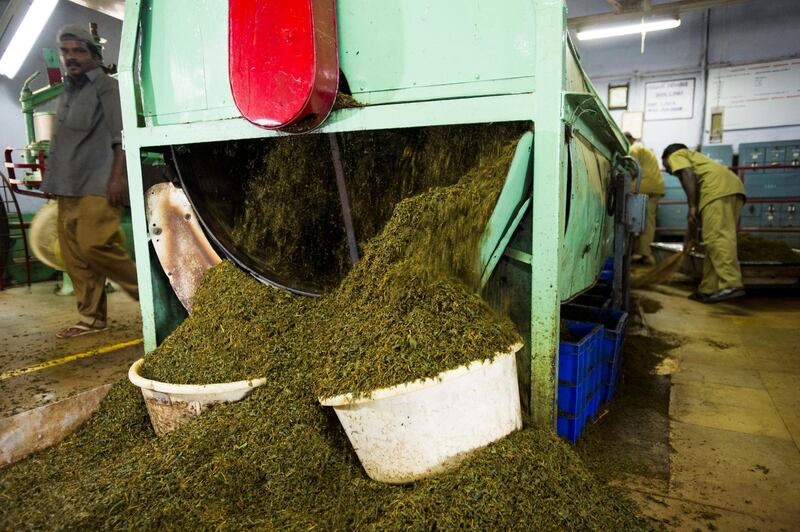 14th February 2013, Munnar, Kerala, India. Leaf segregation machine in in an orthodox production process tea factory (name withheld on request of owner)  near Munnar, Kerala, India on the 14th February 2013.  Simon de Trey-White for The National