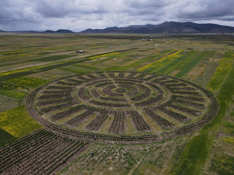 Geoglyph land art created by the Caritamaya community, following an ancestral agricultural system, in Acora district, in Puno, southern Peru. AFP