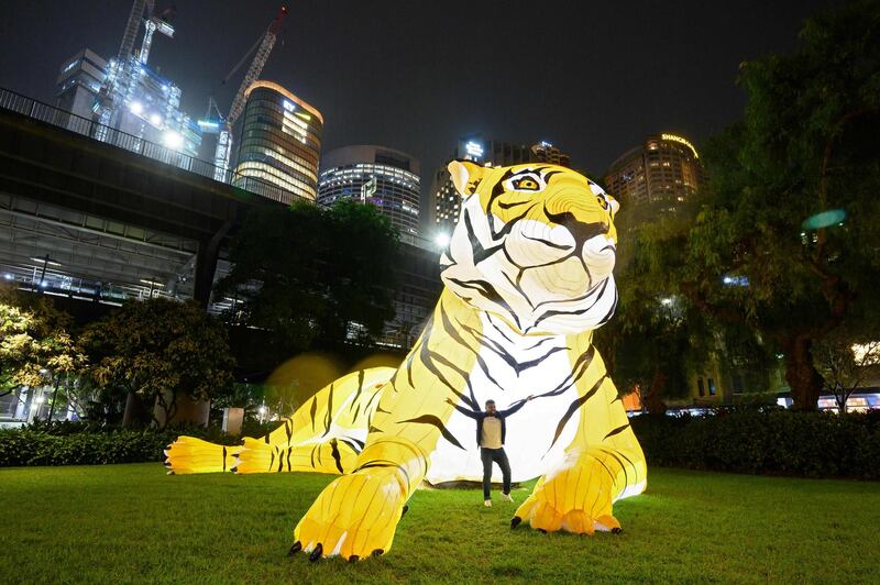 A man poses for a picture next to a tiger-shaped lantern along Harbour City during Lunar New Year celebrations in Sydney. AFP