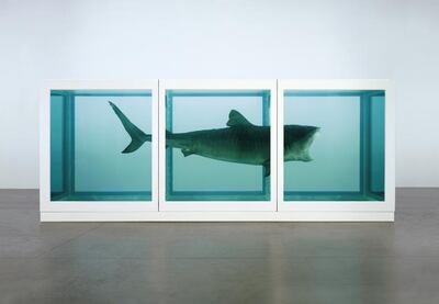 The Physical Impossibility of Death in the Mind of Someone Living (1991), Damien Hirst. Courtesy of the artist