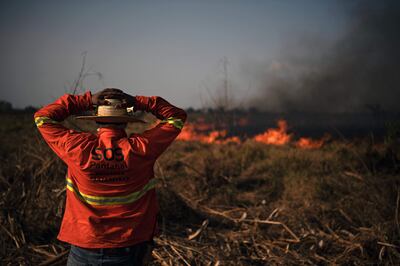 A firefighter looks at a large forest fire in Porto Jofre, Pantanal, Mato Grosso state, Brazil, on September 4, 2021.  - The Amazon, home to more than three million species, has absorbed a large amount of pollution, as carbon dioxide emissions have surged by 50 per cent in 50 years. AFP