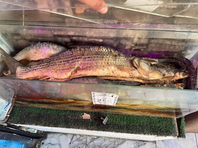 A fish on sale in Cairo. Photo: Kamal Tabikha / The National