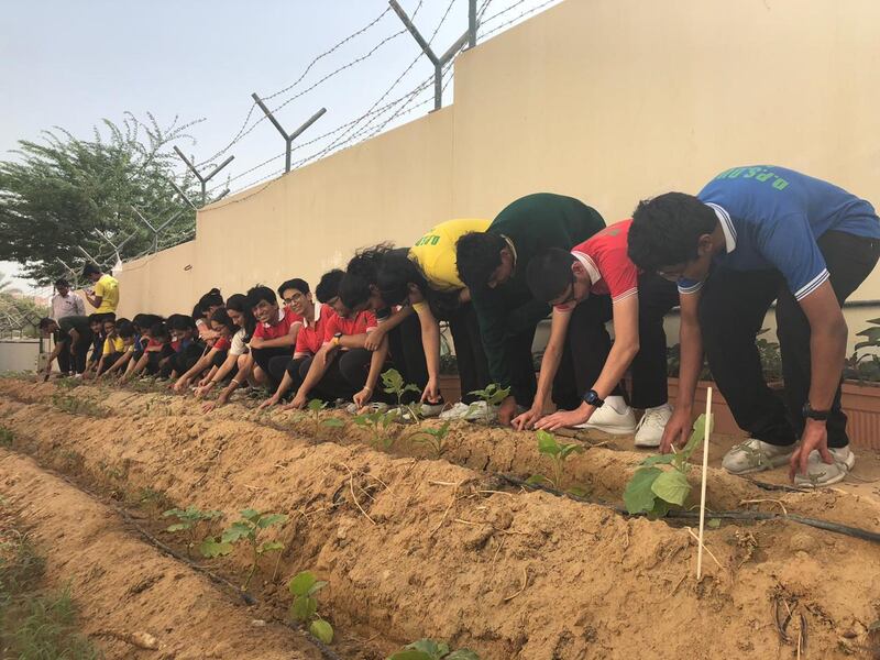 Pupils at Delhi Private School Dubai planting trees.