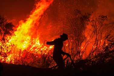 A firefighter extinguishes a fire in a forest at Rambutan village, in Ogan Ilir, South Sumatra province, on September 11 , 2019. AFP