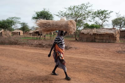 A woman carries dried reeds to build a shelter in Tiamushro camp for internally displaced persons in Kadugli, South Kordofan state. AFP 