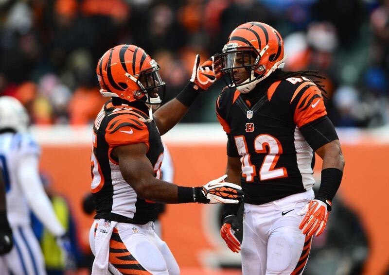 Cincinnati Bengals running backs Giovani Bernard, left, and BenJarvus Green-Ellis, right, are the basis for their team's offence. Andrew Weber / USA Today
