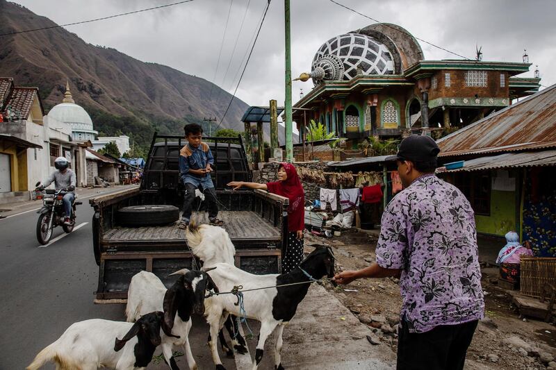 Villagers unload goats as a collapsed mosque is seen on the background in Sembalun on Lombok island, Indonesia. Thousands of residents remain stranded at the Indonesian island of Lombok as they struggle to recover from earlier earthquakes. Getty Images