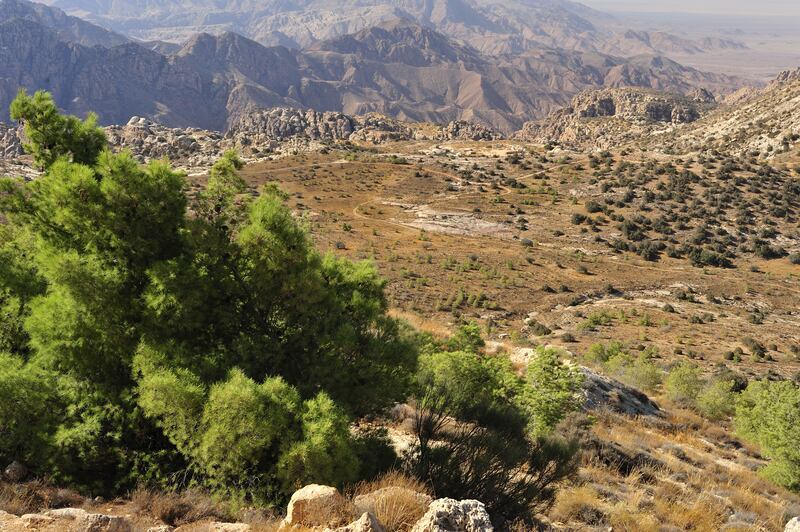 The Dana Biosphere Reserve, in the remote Wadi Dana valley, is Jordan’s largest nature conservation park. Photo: Getty Images