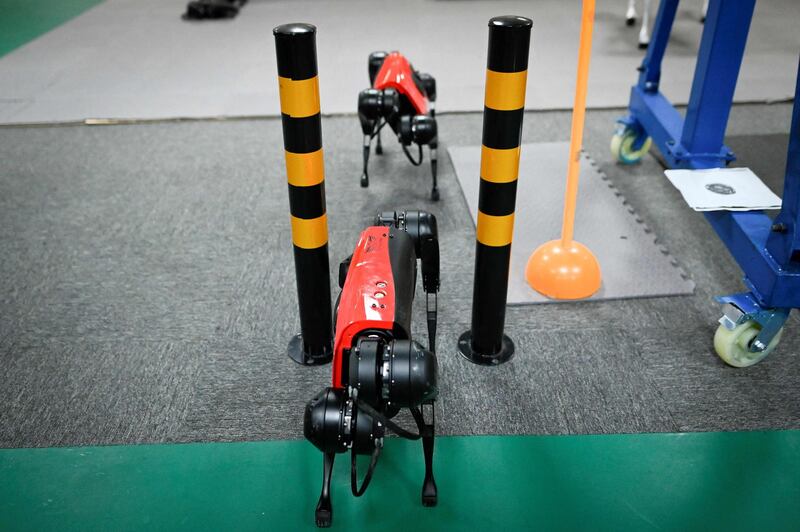 A pair of AlphaDog quadruped robots passing through a gate in a workshop at the Weilan Intelligent Technology Corporation in Nanjing. Wang Zhao / AFP