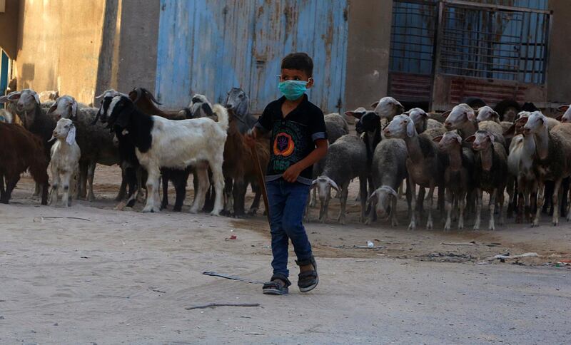 A Palestinian boy grazes sheep while wearing a face mask during a lockdown imposed following the discovery of coronavirus cases in Gaza City. AP Photo