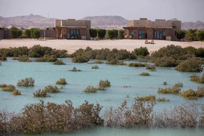 SIR BANI YAS ISLAND, ABU DHABI, United Arab Emirates, Nov. 26 , 2014:  
Mangroves line the bay near the Anantara Al Yamm Villa Resort on the Sir Bani Yas Island, one of the largest natural island in the UAE, as seen on Wednesday, Nov. 26, 2014. Each of the visiting guests gets to plant a mangrove, and thus to contribute to the stability of the local ecosystem. The tourism destination, developed and managed by the Tourism and Development Investment Company (TDIC) is located off the coast of Al Gharbia, or the Western Region, and about 250-kilometer drive from Abu Dhabi. The island, a wildlife reserve founded by the late Sheikh Zayed bin Sultan al Nahyan in 1971 to preserve Arabia's endangered species, is now home to 25 free-roaming mammals, 177 kinds of birds, about 100 different species of insect, and over 100 small plants.   (Silvia Razgova / The National)

Usage: undated
Section: all
Reporter: Silvia Razgova