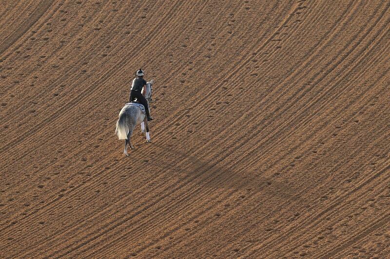 Morning track work ahead of the Dubai World Cup, at Meydan Racecourse, on Saturday. Getty Images
