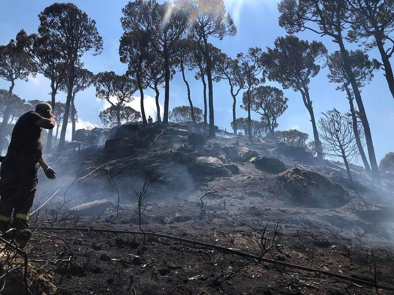 Fires that swept across a large area of dense pine forest in the northern Akkar region. Lebanon. Credit to Lebanon Civil Defense