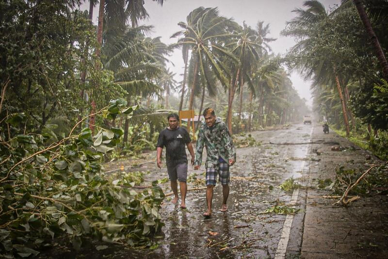 Residents brave rains and strong wind as they walk past uprooted trees along a highway in Can-avid town, Eastern Samar province, central Philippines, as Typhoon Vongfong makes landfall.   AFP