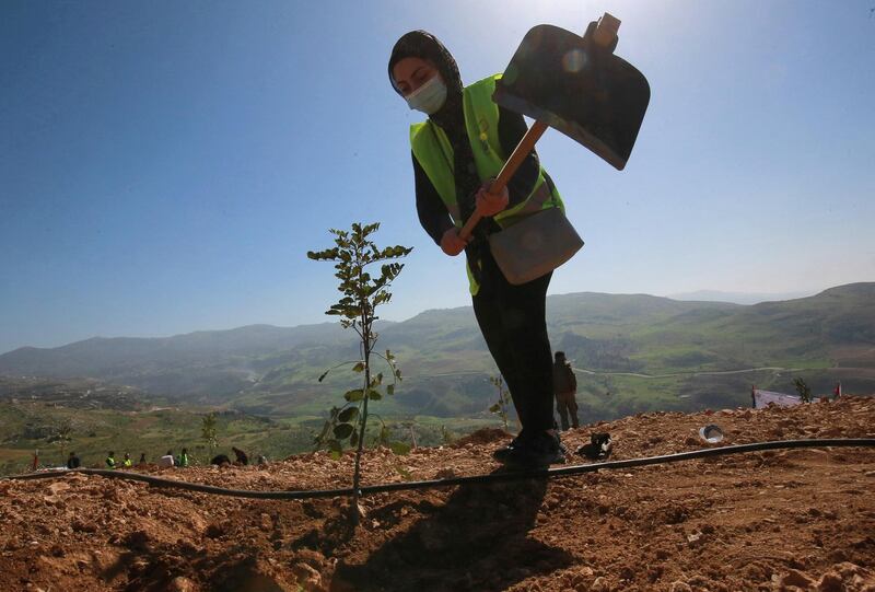 Jordanians plant eucalyptus and carob saplings near the forest of Kufranjah, north of Amman. On a bare hill in Jordan's verdant Ajloun region, dozens of people plant saplings as part of a reforestation effort that aims to reach 10 million trees in 10 years. AFP