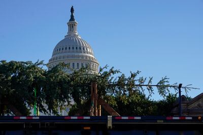 The Capitol Hill Christmas Tree arrives on a flatbed truck on Capitol Hill in Washington on Friday. AP Photo