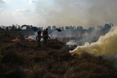 Positive tipping points are crucial for meeting climate change targets. AFP.