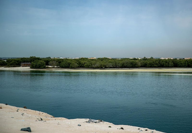 Rainshowers are seen behind the mangroves along the E12, Saadiyat Island area in Abu Dhabi on April 28th, 2021. Victor Besa / The National.