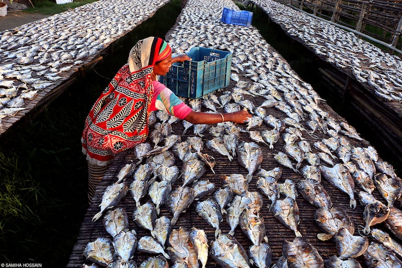 'Sunbaked Fish' by Samiha Hossain (Bangladesh) - second place in the Young (11-14) category
