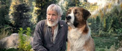 Harrison Ford in The Call of the Wild (2020) 