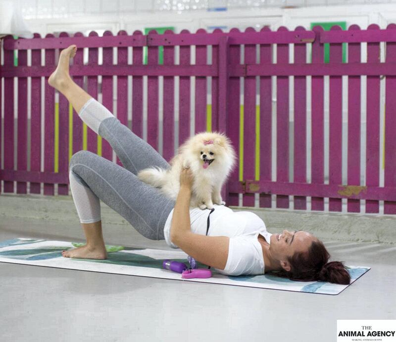 Pet owners can take their pooches to Puppy Pilates in Dubai. Courtesy The Animal Agency