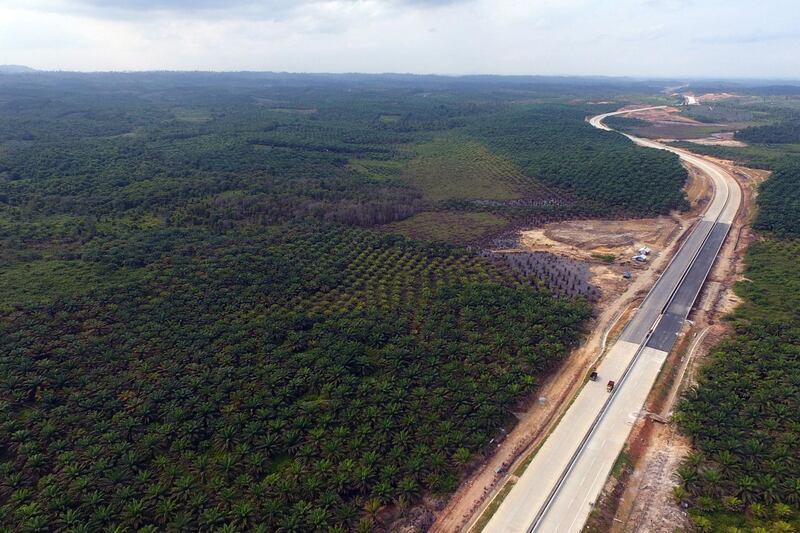 TOPSHOT - This aerial picture taken on July 31, 2019 by news outlet Tribun Kaltim shows a view of the area around Samboja, Kutai Kartanegara, one of two locations proposed by the government for Indonesia's new capital. Indonesia has chosen the eastern edge of jungle-clad Borneo island for its new capital, President Joko Widodo said on August 26, 2019, as the country looks to shift its political heart away from congested megalopolis Jakarta. / AFP / TRIBUN KALTIM / Fachmi RACHMAN
