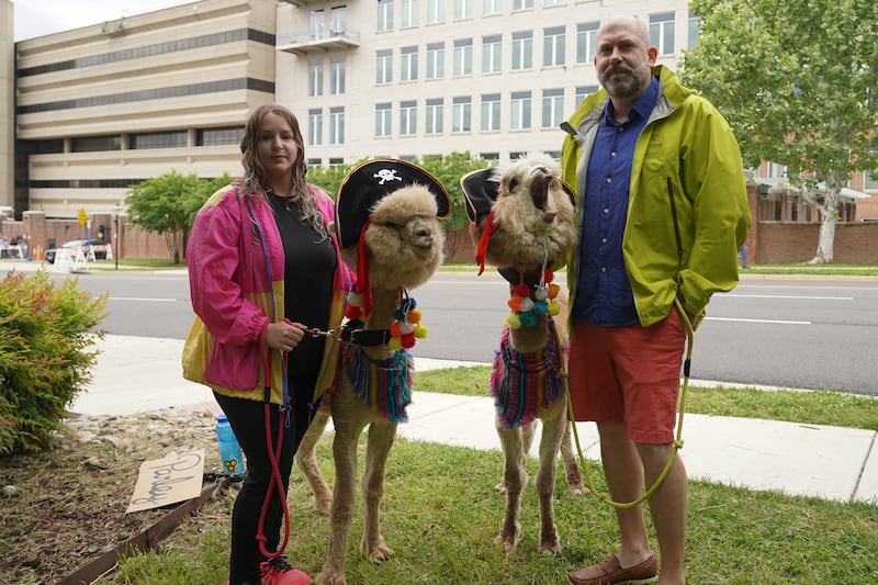 Andrea Diaz poses next to her two alpacas, Teddy and Truffles, outside the courthouse. Willy Lowry / The National