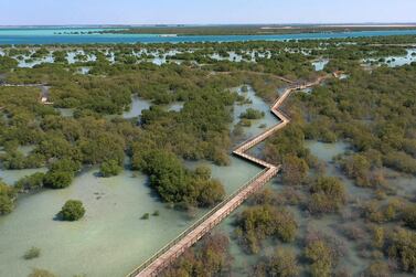 An aerial view of the Qurum Walkway in Jubail Mangrove Park, which is now open to visitors. Wam 