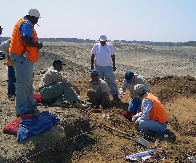 Excavation work in the north-west of Saudi Arabia. Benjamin Kear