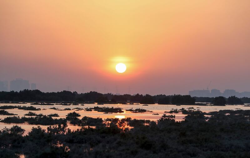 Sunset through a mangrove forest on Jubail Island, Abu Dhabi. Khushnum Bhandari / The National