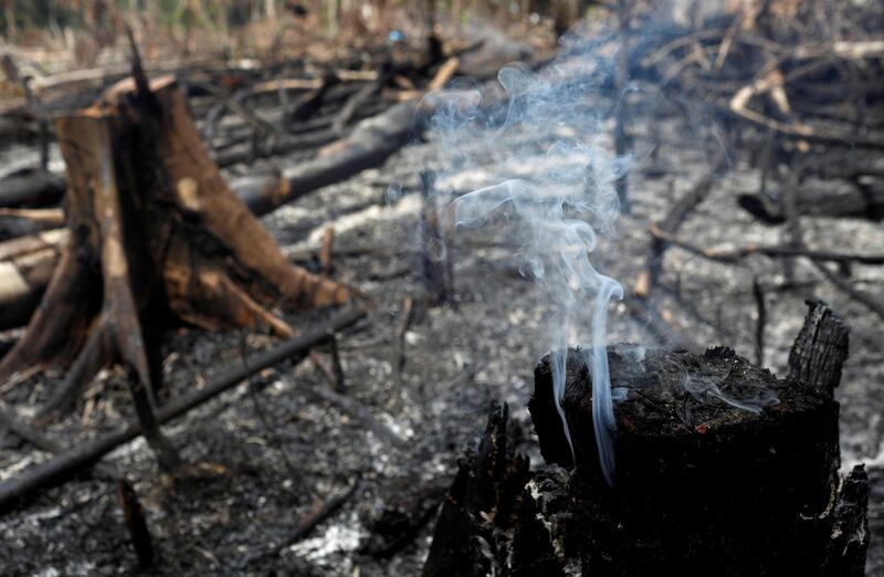 A tract of Amazon jungle burns as it is being cleared by loggers and farmers in Novo Airao, Amazonas state, Brazil. Reuters