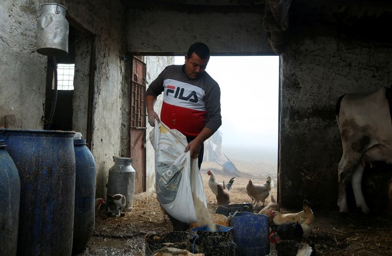 Farmer Maher Gizmir has cut his daily milk output by 85 per cent. He can no longer afford to produce it at the state-mandated purchase price as inflation pushes up his costs.