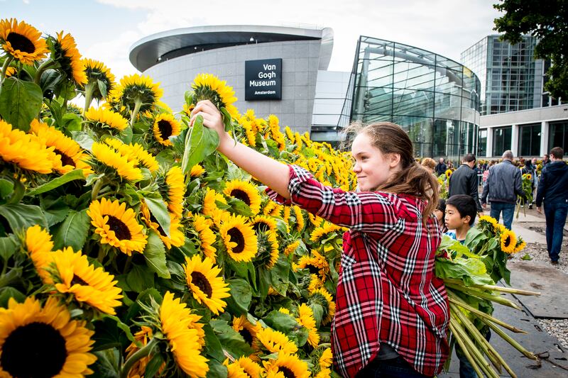 In 2015, the museum celebrated the opening of a new glass entrance by handing out sunflowers to visitors. Photo: Jan-Kees Steenman