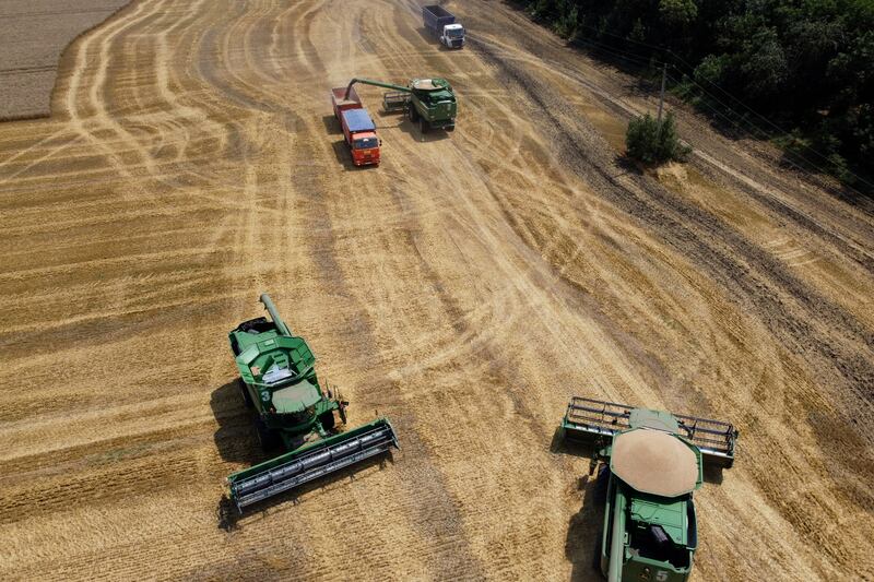 Farmers harvest with combines in a wheat field near the village Tbilisskaya, Russia. AP